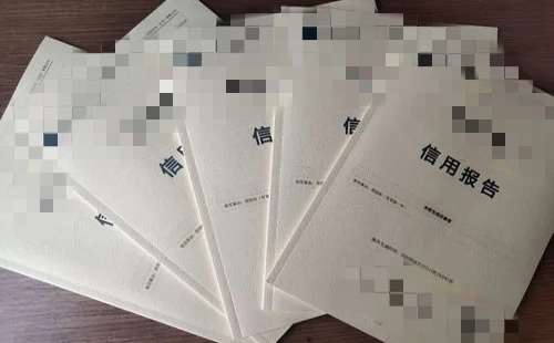 企业信用评级报告去哪办理